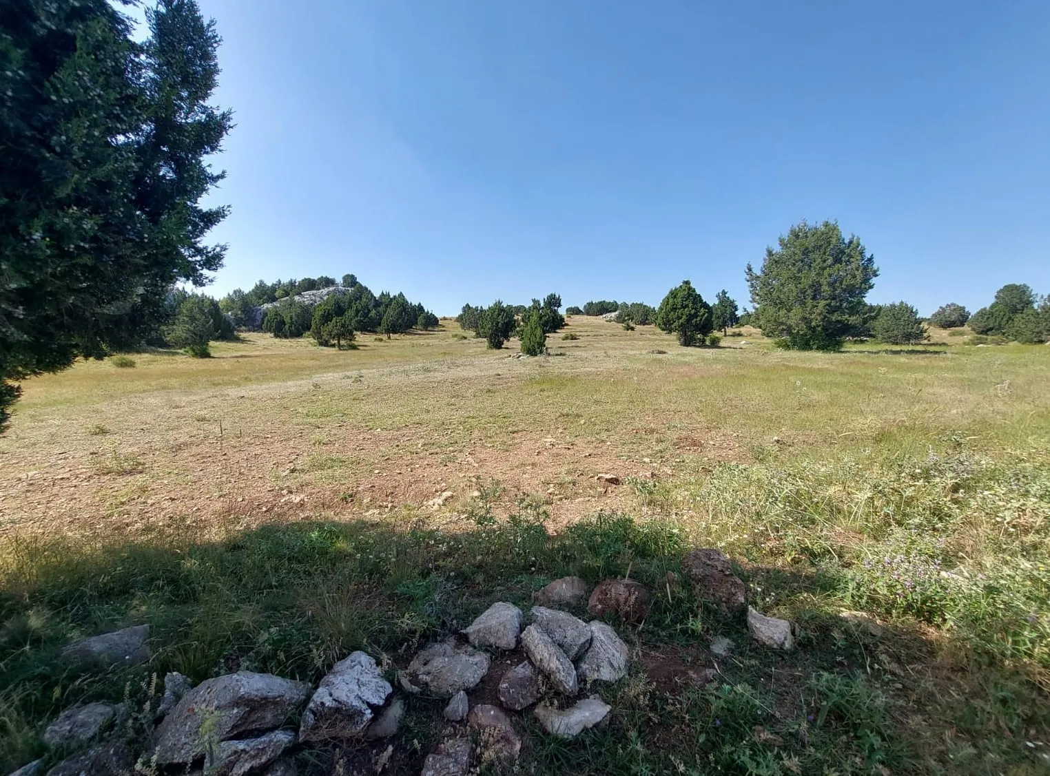 Burdur Çavdır Küçükalan Köyünde 1062 Yatırımlık Tarla