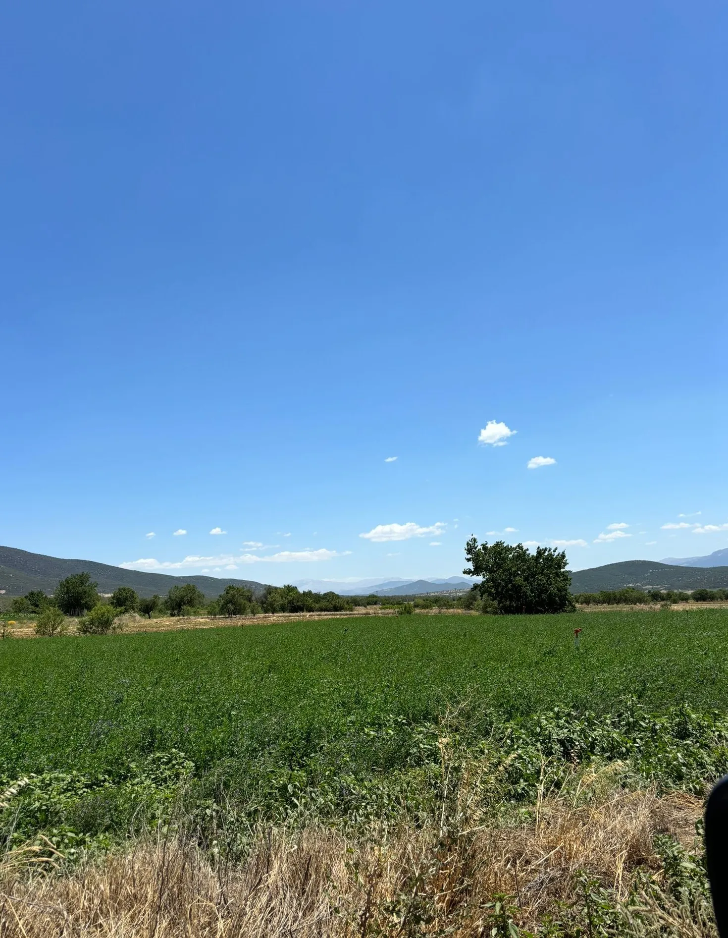 Burdur Çavdır Küçükalan Köyü1062m2 Yatırımlık Uygun Fiyatlı Tarla