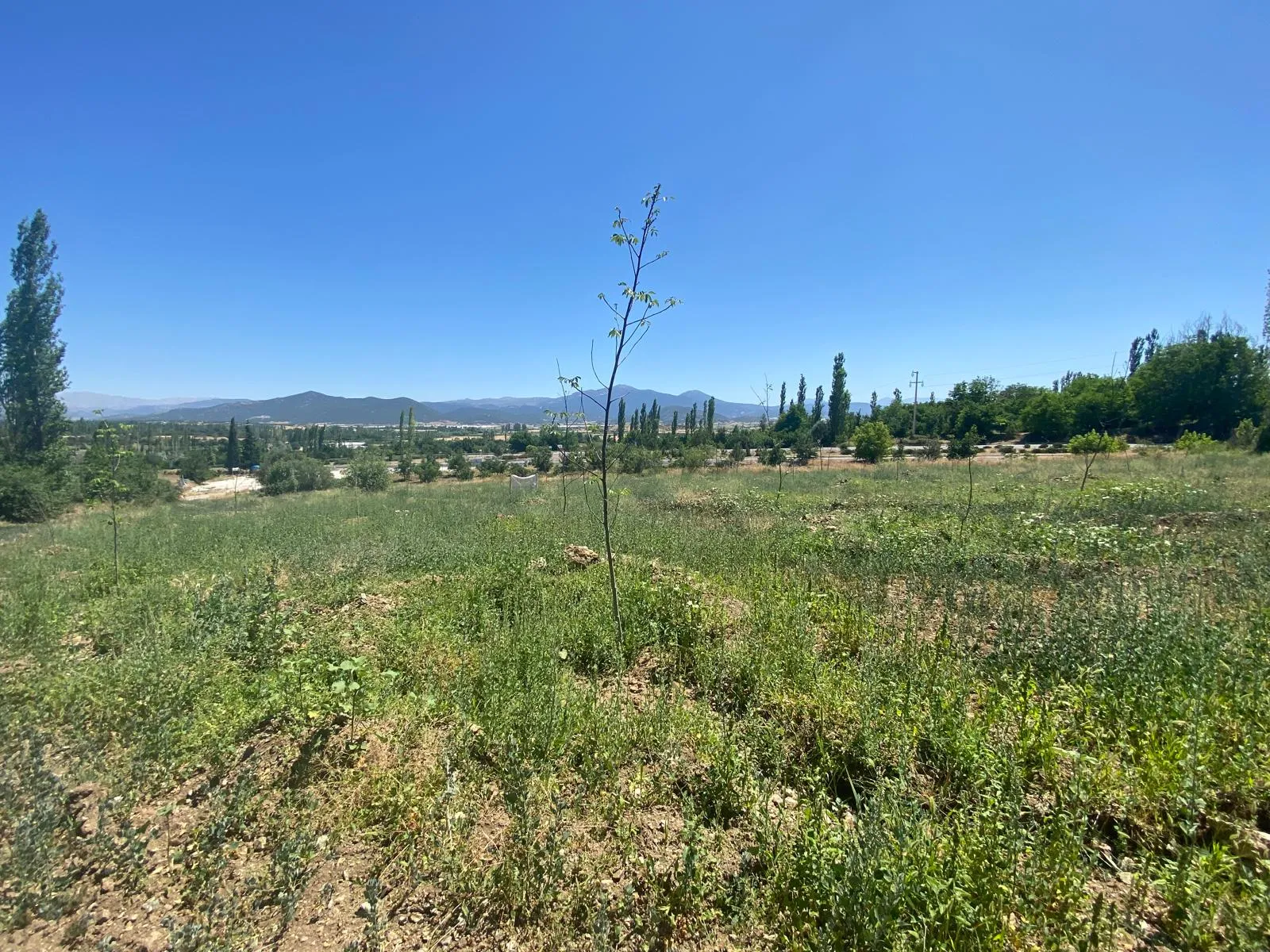 Burdur Çavdır Karaköy Eskiköy Mevkii'nde Satılık 1029m2 Tarla