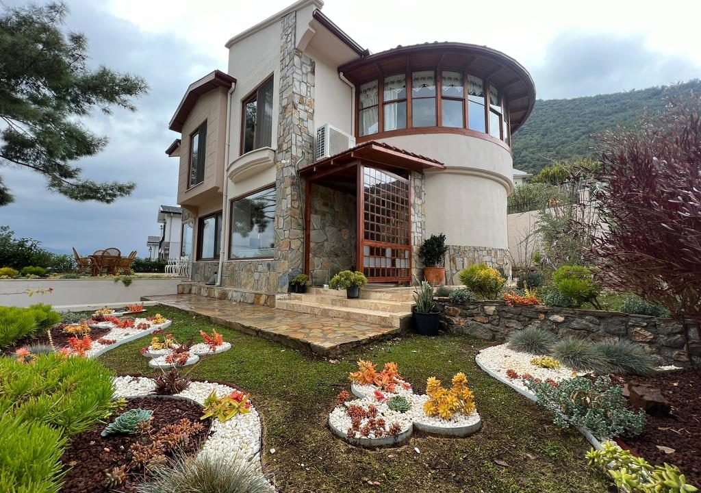 üzümlü resim 8