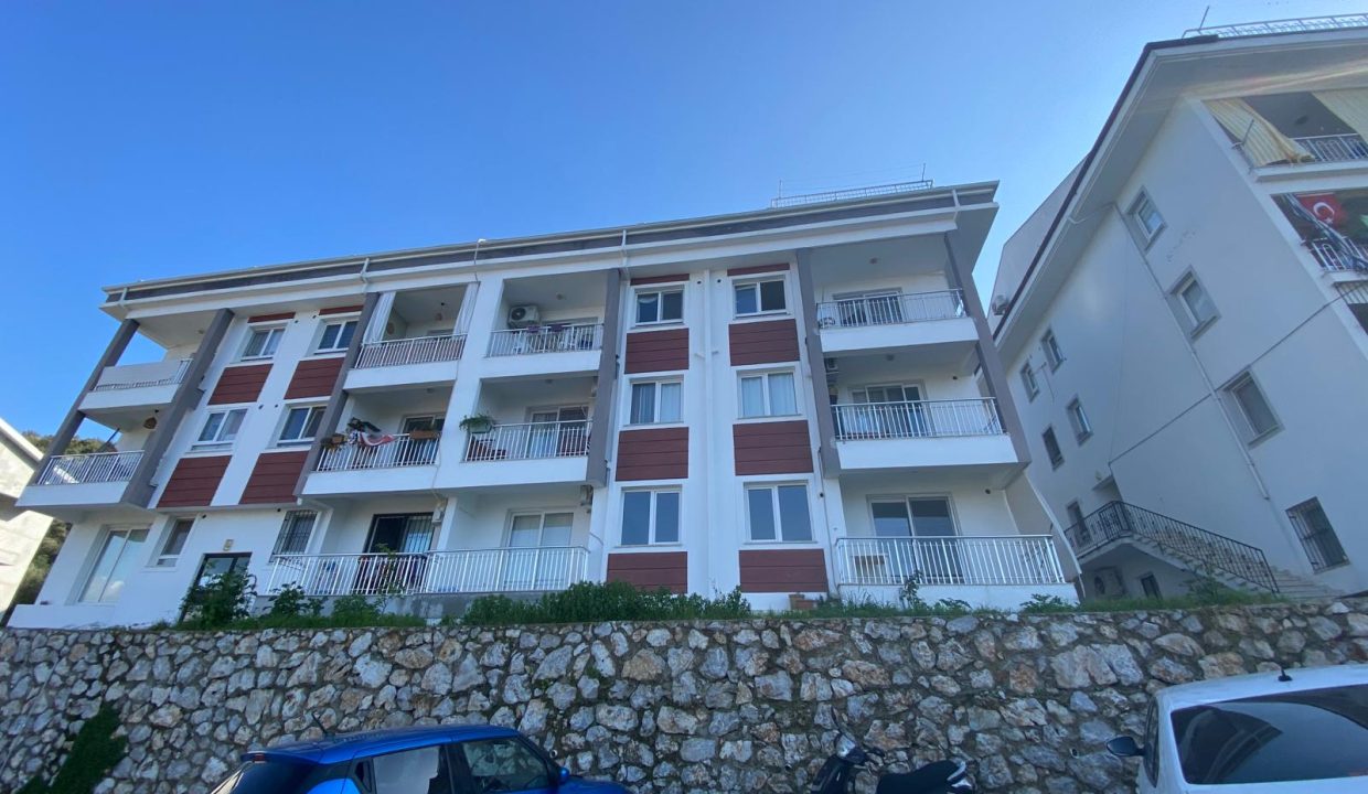 PATLANGIÇ RESİM 2