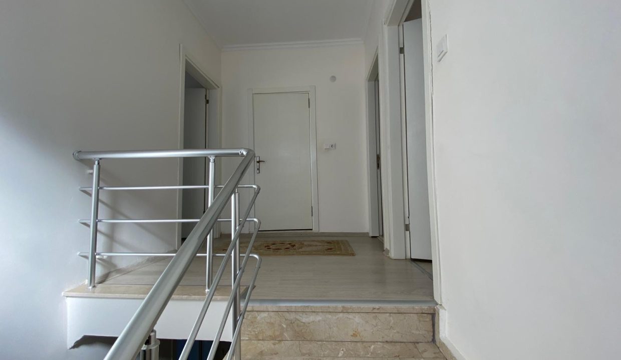 PATLANGIÇ RESİM 20