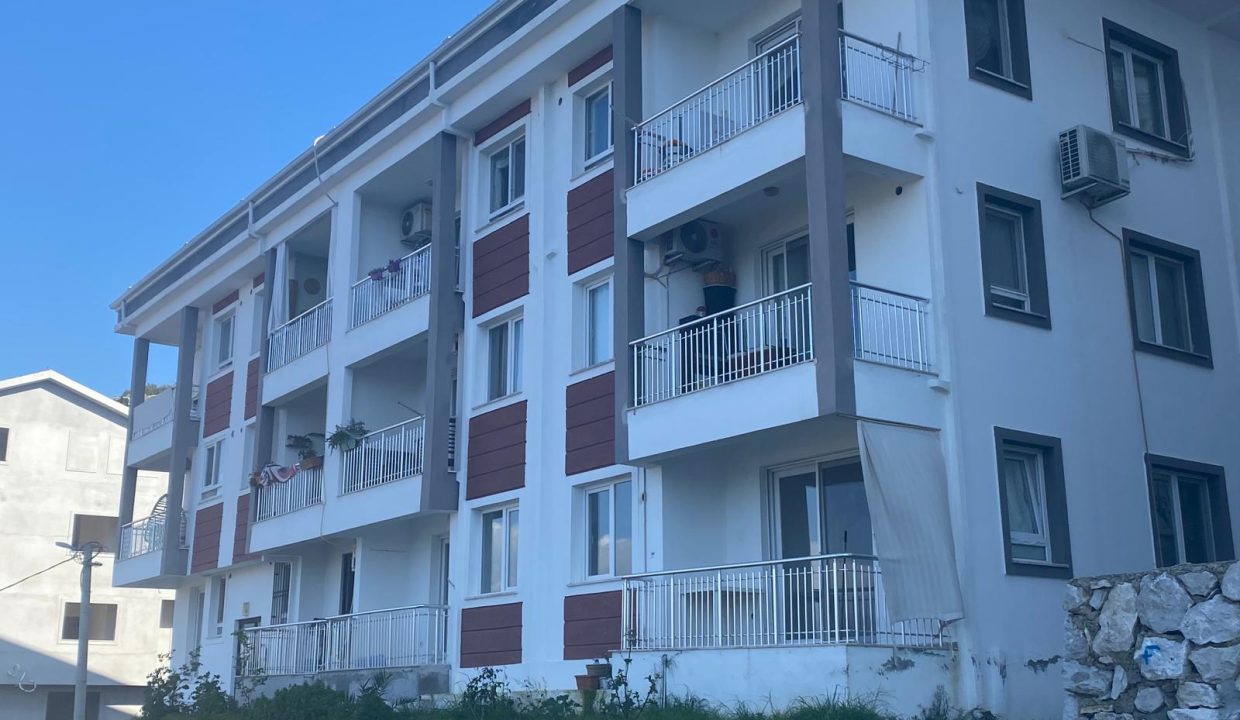 PATLANGIÇ RESİM 3