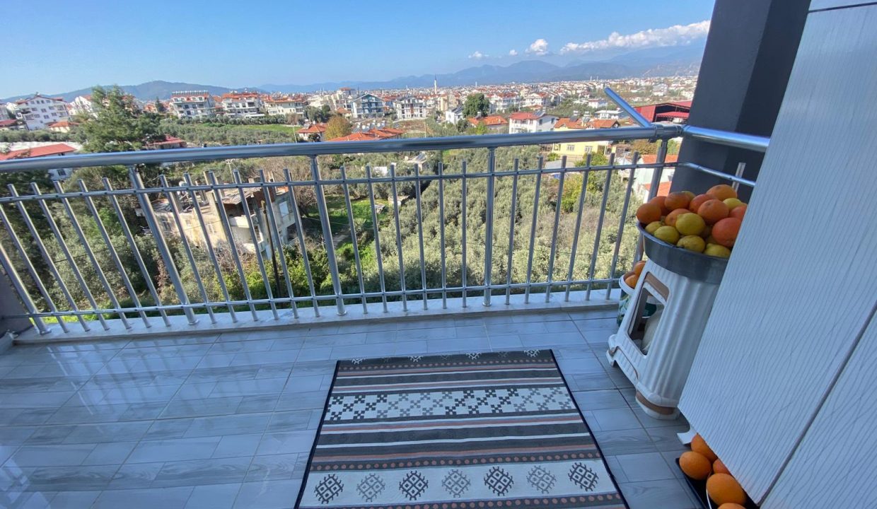 PATLANGIÇ RESİM 6