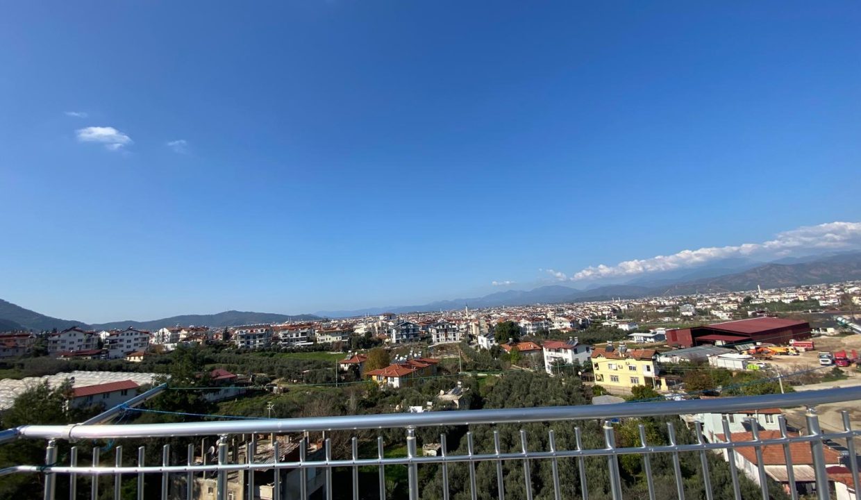 PATLANIÇ RESİM 7