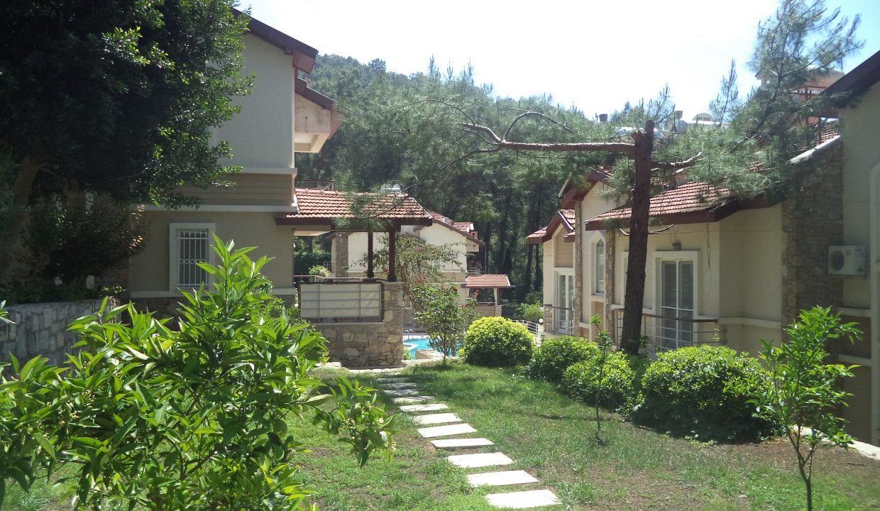 DSC03929