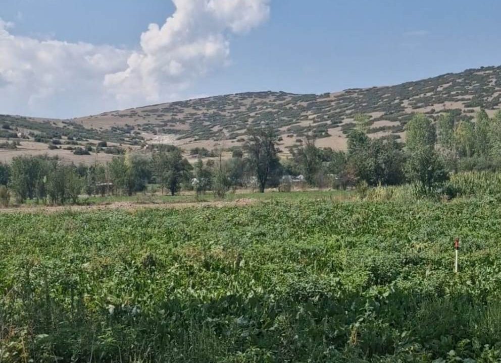 ÇAVDIR BAYIR RESİM 9